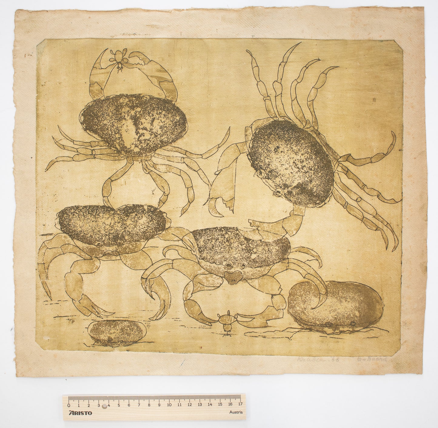 Krabben - Willie van Haard