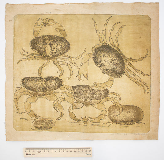 Krabben - Willie van Haard