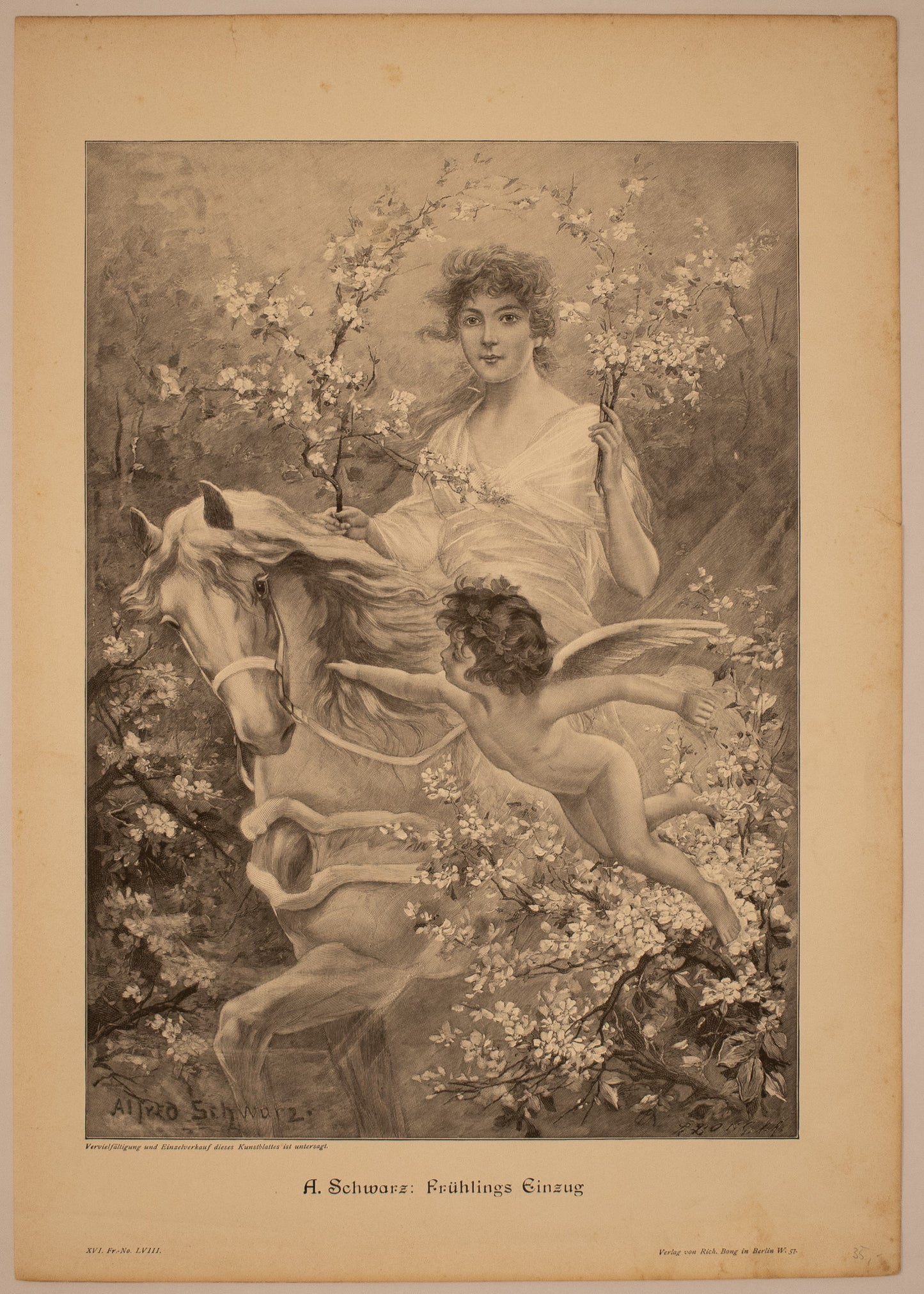 drei wunderschöne Bilder