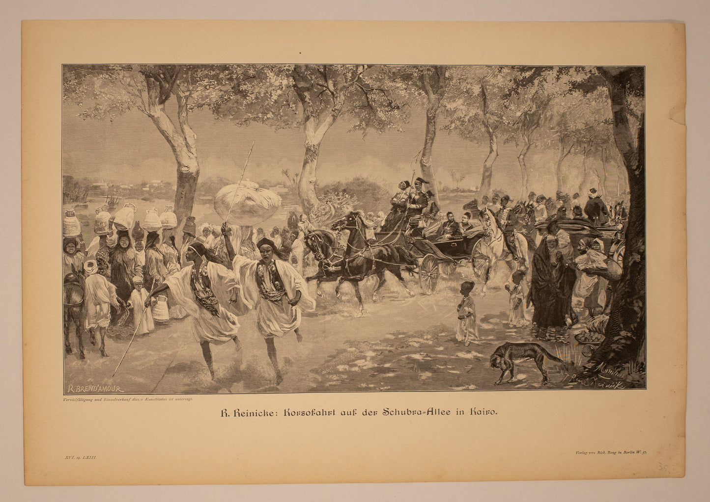 drei wunderschöne Bilder