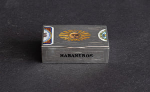 Antieke Zilveren & Emaillen "Novelty" Vesta Case – Louis Kuppenheim (ca. 1900)