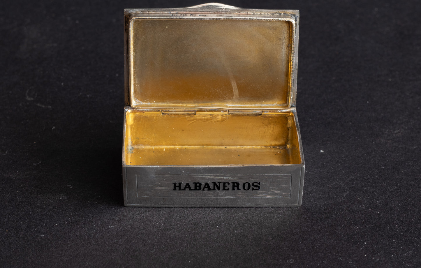 Antieke Zilveren & Emaillen "Novelty" Vesta Case – Louis Kuppenheim (ca. 1900)
