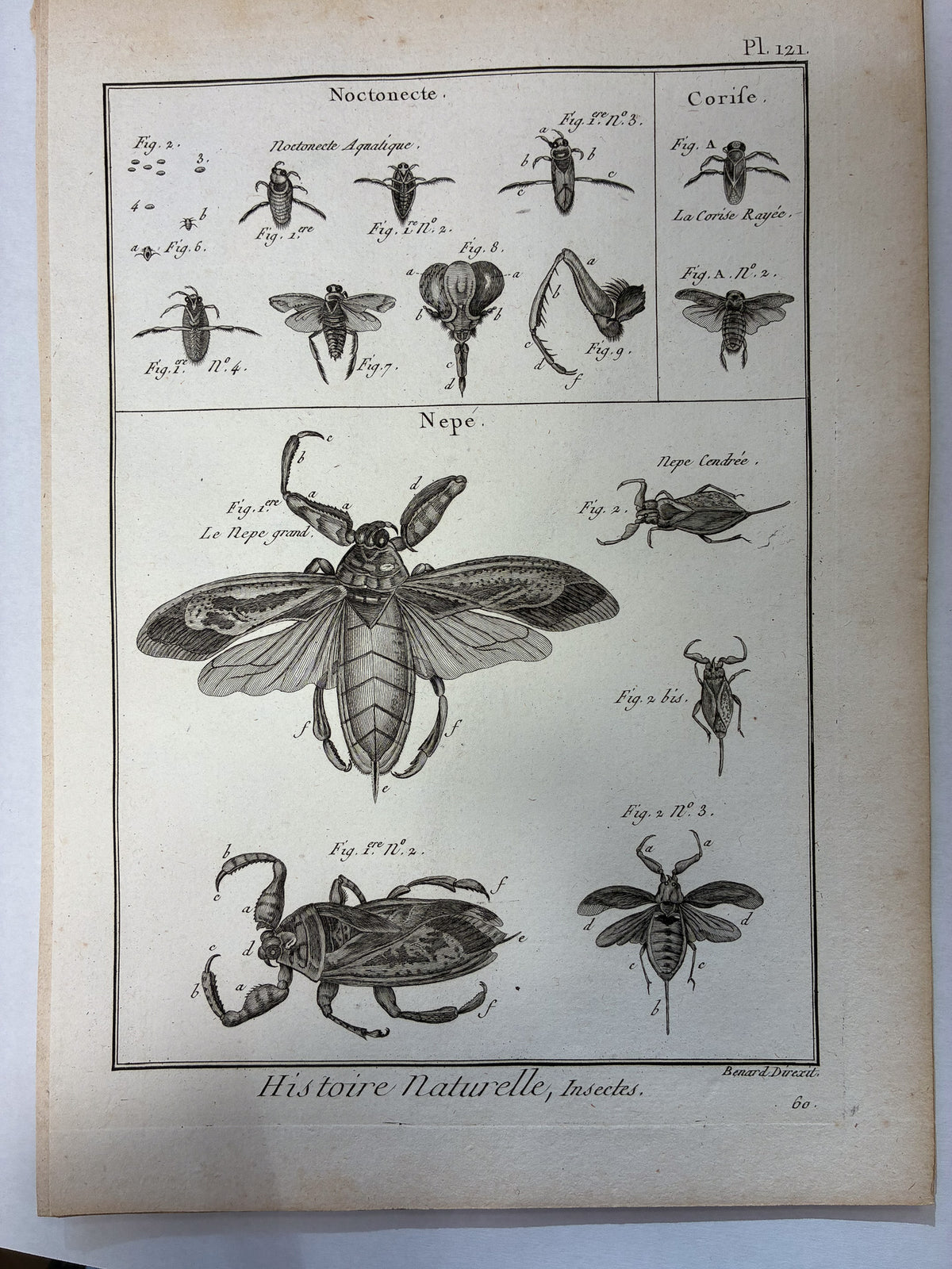 Set aus 12 originalen Kupferstichen aus dem 18. Jahrhundert – Histoire Naturelle: Insectes – Robert Bénard, ca. 1785–1790
