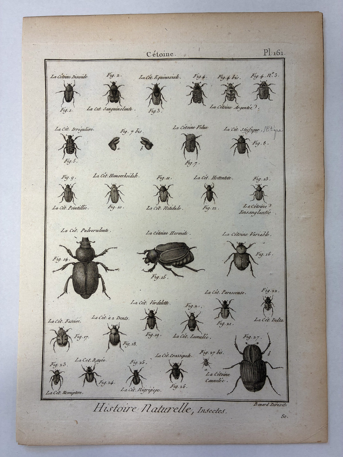 Set aus 12 originalen Kupferstichen aus dem 18. Jahrhundert – Histoire Naturelle: Insectes – Robert Bénard, ca. 1785–1790
